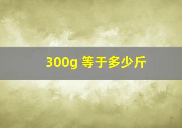 300g 等于多少斤